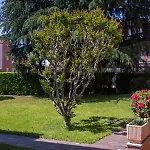 Le Rondini B&B
