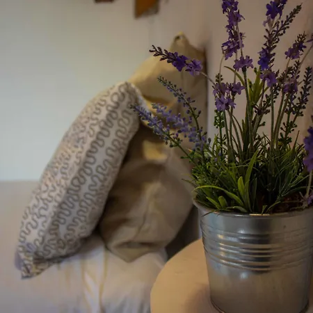 Le Rondini Bed & Breakfast