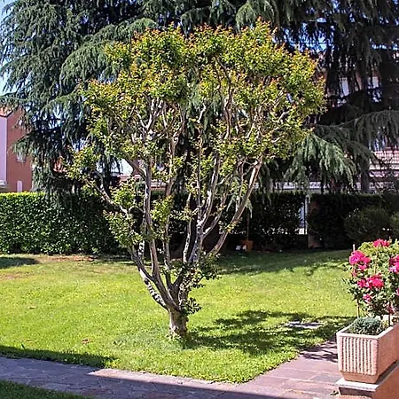 Le Rondini Bed & Breakfast Castronno
