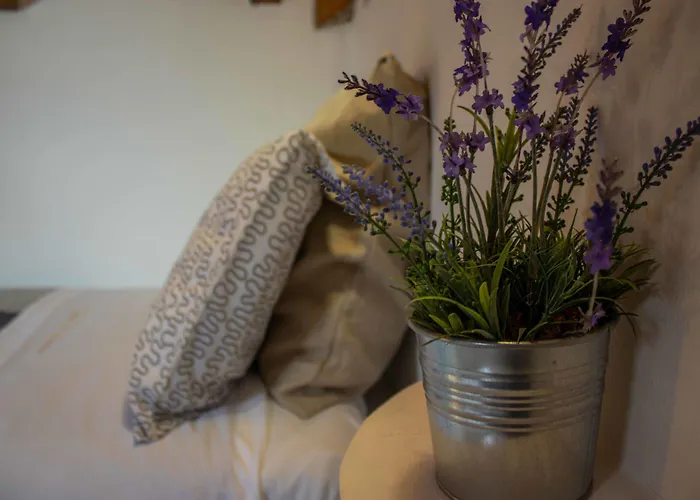 Le Rondini Bed & Breakfast