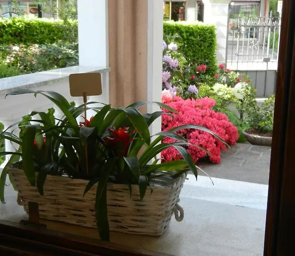 Bed & Breakfast Le Rondini 4*