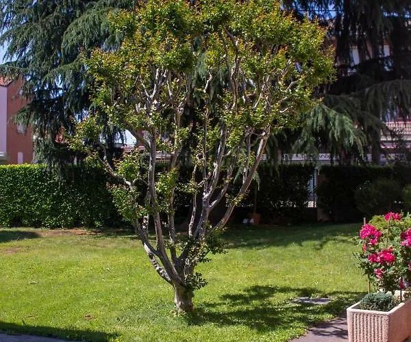 Le Rondini Bed & Breakfast